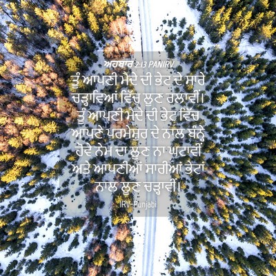 Picture 04 - ਅਹਬਾਰ 2:13 PANIRV - ਤੂੰ ਆਪਣੀ ਮੈਦੇ ਦੀ - Bible Verse Picture