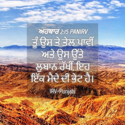 Picture 04 - ਅਹਬਾਰ 2:15 PANIRV - ਤੂੰ ਉਸ ਤੇ ਤੇਲ ਪਾਵੀਂ - Bible Verse Picture