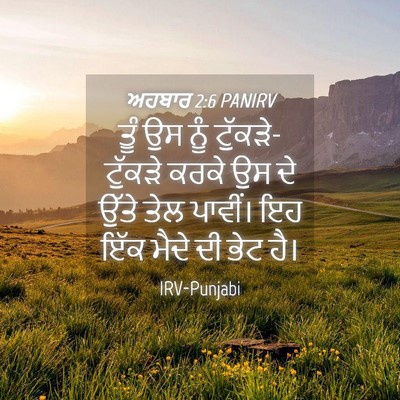 Picture 04 - ਅਹਬਾਰ 2:6 PANIRV - ਤੂੰ ਉਸ ਨੂੰ - Bible Verse Picture