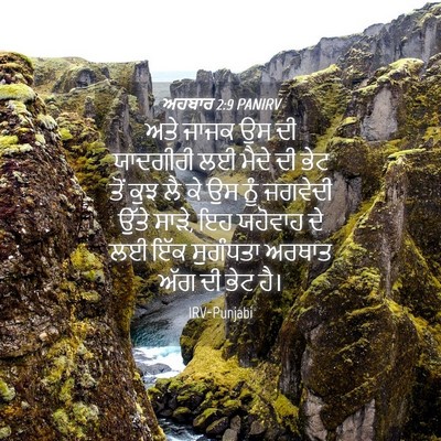 Picture 04 - ਅਹਬਾਰ 2:9 PANIRV - ਅਤੇ ਜਾਜਕ ਉਸ ਦੀ - Bible Verse Picture