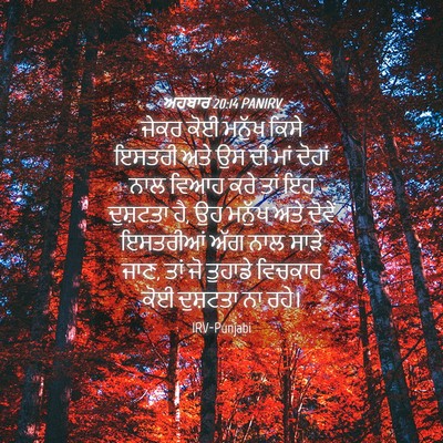 Picture 04 - ਅਹਬਾਰ 20:14 PANIRV - ਜੇਕਰ ਕੋਈ ਮਨੁੱਖ - Bible Verse Picture