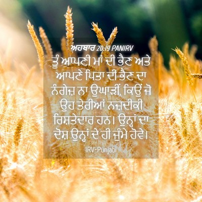 Picture 04 - ਅਹਬਾਰ 20:19 PANIRV - ਤੂੰ ਆਪਣੀ ਮਾਂ ਦੀ ਭੈਣ - Bible Verse Picture