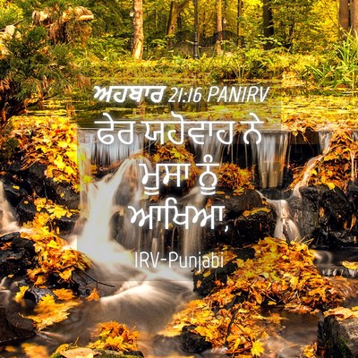 Picture 04 - ਅਹਬਾਰ 21:16 PANIRV - ਫੇਰ ਯਹੋਵਾਹ ਨੇ ਮੂਸਾ - Bible Verse Picture