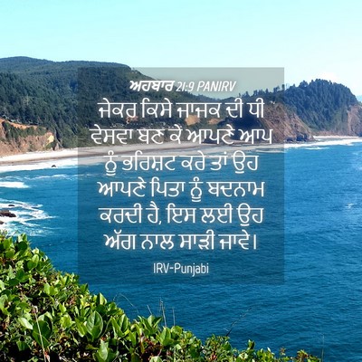 Picture 04 - ਅਹਬਾਰ 21:9 PANIRV - ਜੇਕਰ ਕਿਸੇ ਜਾਜਕ ਦੀ - Bible Verse Picture