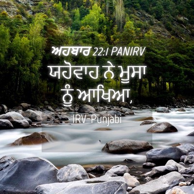 Picture 04 - ਅਹਬਾਰ 22:1 PANIRV - ਯਹੋਵਾਹ ਨੇ ਮੂਸਾ ਨੂੰ - Bible Verse Picture