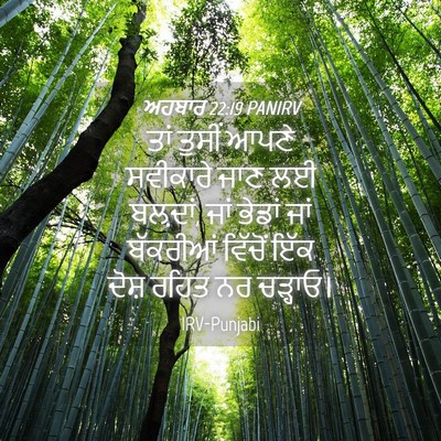 Picture 04 - ਅਹਬਾਰ 22:19 PANIRV - ਤਾਂ ਤੁਸੀਂ ਆਪਣੇ - Bible Verse Picture