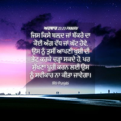 Picture 04 - ਅਹਬਾਰ 22:23 PANIRV - ਜਿਸ ਕਿਸੇ ਬਲ਼ਦ ਜਾਂ - Bible Verse Picture