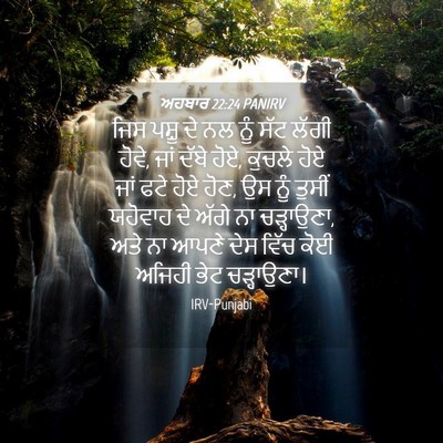 Picture 04 - ਅਹਬਾਰ 22:24 PANIRV - ਜਿਸ ਪਸ਼ੂ ਦੇ ਨਲ ਨੂੰ - Bible Verse Picture