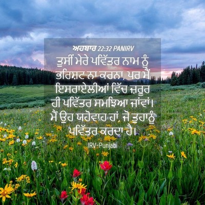 Picture 04 - ਅਹਬਾਰ 22:32 PANIRV - ਤੁਸੀਂ ਮੇਰੇ ਪਵਿੱਤਰ - Bible Verse Picture