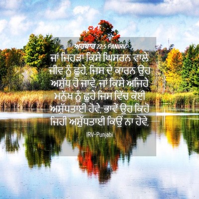 Picture 04 - ਅਹਬਾਰ 22:5 PANIRV - ਜਾਂ ਜਿਹੜਾ ਕਿਸੇ - Bible Verse Picture