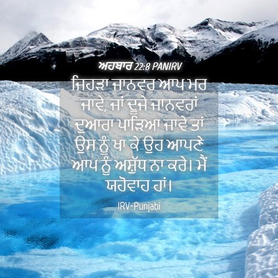 Picture 04 - ਅਹਬਾਰ 22:8 PANIRV - ਜਿਹੜਾ ਜਾਨਵਰ ਆਪ ਮਰ - Bible Verse Picture