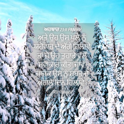 Picture 04 - ਅਹਬਾਰ 23:11 PANIRV - ਅਤੇ ਉਹ ਉਸ ਪੂਲੇ ਨੂੰ - Bible Verse Picture