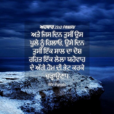 Picture 04 - ਅਹਬਾਰ 23:12 PANIRV - ਅਤੇ ਜਿਸ ਦਿਨ ਤੁਸੀਂ - Bible Verse Picture