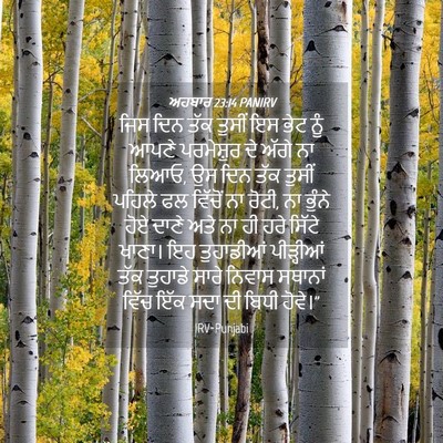 Picture 04 - ਅਹਬਾਰ 23:14 PANIRV - ਜਿਸ ਦਿਨ ਤੱਕ ਤੁਸੀਂ - Bible Verse Picture