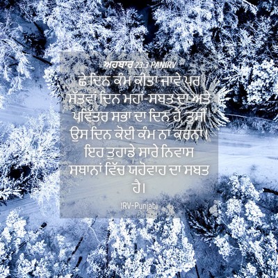 Picture 04 - ਅਹਬਾਰ 23:3 PANIRV - ਛੇ ਦਿਨ ਕੰਮ ਕੀਤਾ - Bible Verse Picture