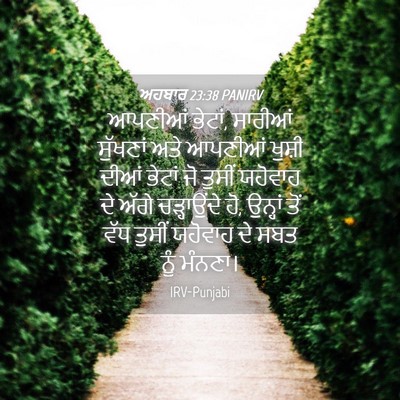 Picture 04 - ਅਹਬਾਰ 23:38 PANIRV - ਆਪਣੀਆਂ ਭੇਟਾਂ, - Bible Verse Picture