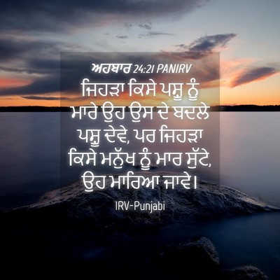 Picture 04 - ਅਹਬਾਰ 24:21 PANIRV - ਜਿਹੜਾ ਕਿਸੇ ਪਸ਼ੂ - Bible Verse Picture
