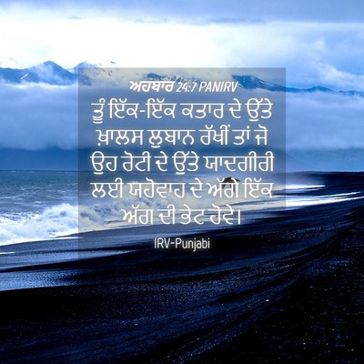 Picture 04 - ਅਹਬਾਰ 24:7 PANIRV - ਤੂੰ ਇੱਕ-ਇੱਕ ਕਤਾਰ ਦੇ - Bible Verse Picture