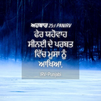 Picture 04 - ਅਹਬਾਰ 25:1 PANIRV - ਫੇਰ ਯਹੋਵਾਹ ਸੀਨਈ ਦੇ - Bible Verse Picture