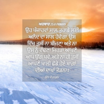 Picture 04 - ਅਹਬਾਰ 25:11 PANIRV - ਉਹ ਪੰਜਾਹਵਾਂ ਸਾਲ - Bible Verse Picture