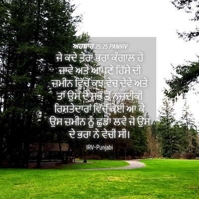 Picture 04 - ਅਹਬਾਰ 25:25 PANIRV - ਜੇ ਕਦੇ ਤੇਰਾ ਭਰਾ - Bible Verse Picture