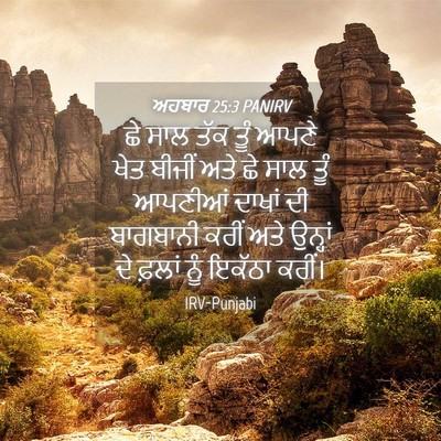 Picture 04 - ਅਹਬਾਰ 25:3 PANIRV - ਛੇ ਸਾਲ ਤੱਕ ਤੂੰ ਆਪਣੇ - Bible Verse Picture