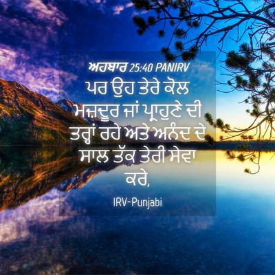 Picture 04 - ਅਹਬਾਰ 25:40 PANIRV - ਪਰ ਉਹ ਤੇਰੇ ਕੋਲ - Bible Verse Picture