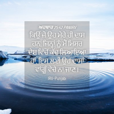 Picture 04 - ਅਹਬਾਰ 25:42 PANIRV - ਕਿਉਂ ਜੋ ਉਹ ਮੇਰੇ ਹੀ - Bible Verse Picture