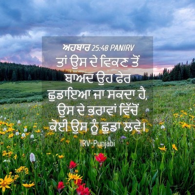 Picture 04 - ਅਹਬਾਰ 25:48 PANIRV - ਤਾਂ ਉਸ ਦੇ ਵਿਕਣ ਤੋਂ - Bible Verse Picture