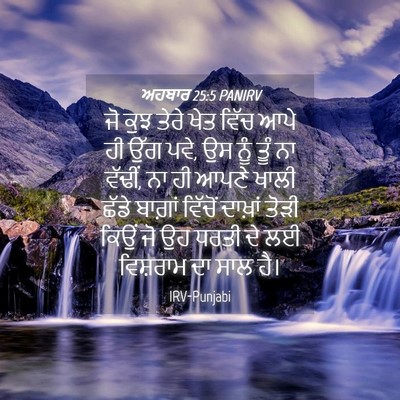 Picture 04 - ਅਹਬਾਰ 25:5 PANIRV - ਜੋ ਕੁਝ ਤੇਰੇ ਖੇਤ - Bible Verse Picture