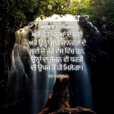 Picture 04 - ਅਹਬਾਰ 25:7 PANIRV - ਅਤੇ ਤੇਰੇ ਪਸ਼ੂਆਂ ਦੇ - Bible Verse Picture