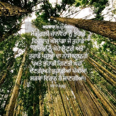 Picture 04 - ਅਹਬਾਰ 26:22 PANIRV - ਮੈਂ ਜੰਗਲੀ ਜਾਨਵਰਾਂ - Bible Verse Picture