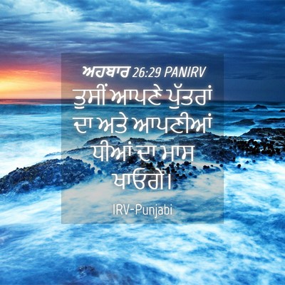 Picture 04 - ਅਹਬਾਰ 26:29 PANIRV - ਤੁਸੀਂ ਆਪਣੇ - Bible Verse Picture