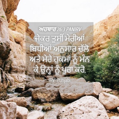 Picture 04 - ਅਹਬਾਰ 26:3 PANIRV - ਜੇਕਰ ਤੁਸੀਂ ਮੇਰੀਆਂ - Bible Verse Picture