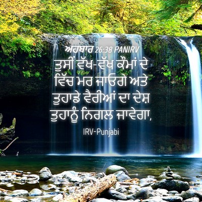 Picture 04 - ਅਹਬਾਰ 26:38 PANIRV - ਤੁਸੀਂ ਵੱਖ-ਵੱਖ - Bible Verse Picture