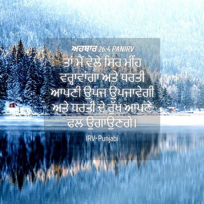 Picture 04 - ਅਹਬਾਰ 26:4 PANIRV - ਤਾਂ ਮੈਂ ਵੇਲੇ ਸਿਰ - Bible Verse Picture