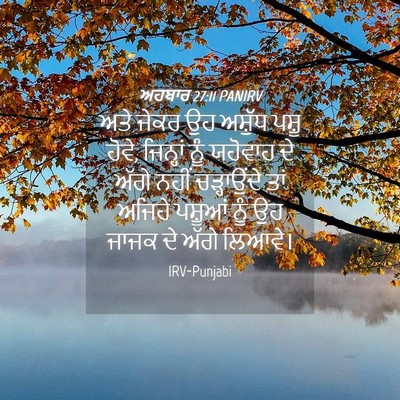 Picture 04 - ਅਹਬਾਰ 27:11 PANIRV - ਅਤੇ ਜੇਕਰ ਉਹ ਅਸ਼ੁੱਧ - Bible Verse Picture