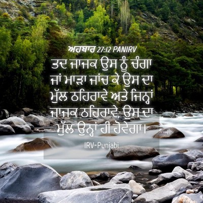 Picture 04 - ਅਹਬਾਰ 27:12 PANIRV - ਤਦ ਜਾਜਕ ਉਸ ਨੂੰ ਚੰਗਾ - Bible Verse Picture