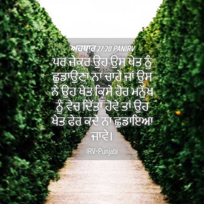 Picture 04 - ਅਹਬਾਰ 27:20 PANIRV - ਪਰ ਜੇਕਰ ਉਹ ਉਸ ਖੇਤ - Bible Verse Picture