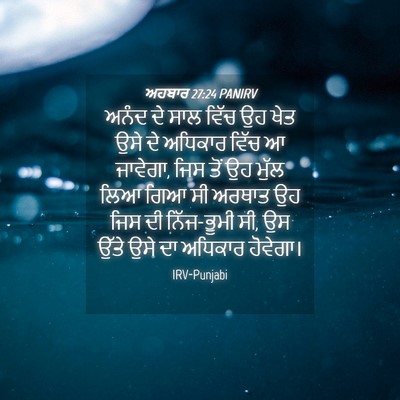 Picture 04 - ਅਹਬਾਰ 27:24 PANIRV - ਅਨੰਦ ਦੇ ਸਾਲ ਵਿੱਚ ਉਹ - Bible Verse Picture