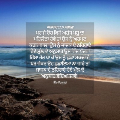 Picture 04 - ਅਹਬਾਰ 27:27 PANIRV - ਪਰ ਜੇ ਉਹ ਕਿਸੇ - Bible Verse Picture