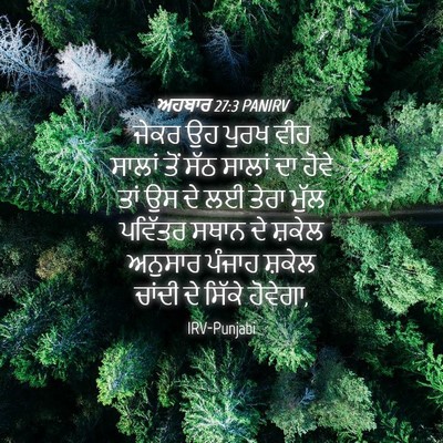Picture 04 - ਅਹਬਾਰ 27:3 PANIRV - ਜੇਕਰ ਉਹ ਪੁਰਖ ਵੀਹ - Bible Verse Picture