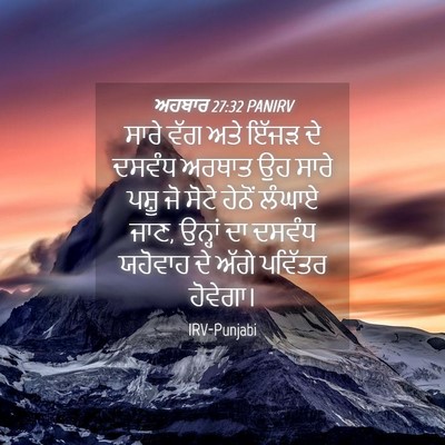 Picture 04 - ਅਹਬਾਰ 27:32 PANIRV - ਸਾਰੇ ਵੱਗ ਅਤੇ ਇੱਜੜ - Bible Verse Picture