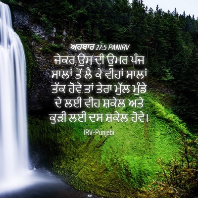 Picture 04 - ਅਹਬਾਰ 27:5 PANIRV - ਜੇਕਰ ਉਸ ਦੀ ਉਮਰ ਪੰਜ - Bible Verse Picture