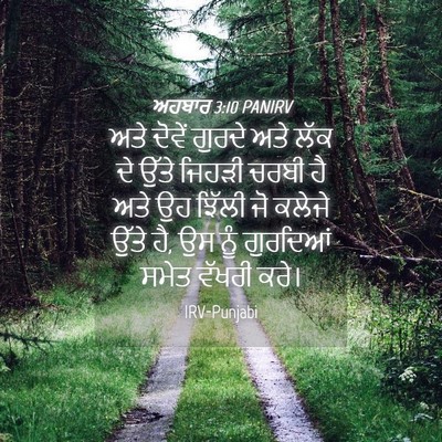 Picture 04 - ਅਹਬਾਰ 3:10 PANIRV - ਅਤੇ ਦੋਵੇਂ ਗੁਰਦੇ - Bible Verse Picture