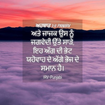 Picture 04 - ਅਹਬਾਰ 3:11 PANIRV - ਅਤੇ ਜਾਜਕ ਉਸ ਨੂੰ - Bible Verse Picture