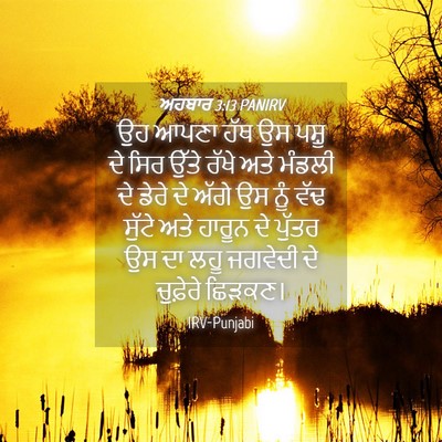 Picture 04 - ਅਹਬਾਰ 3:13 PANIRV - ਉਹ ਆਪਣਾ ਹੱਥ ਉਸ ਪਸ਼ੂ - Bible Verse Picture