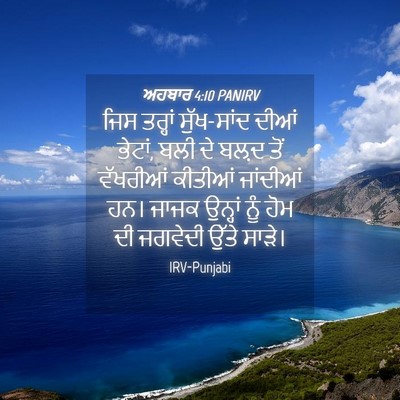 Picture 04 - ਅਹਬਾਰ 4:10 PANIRV - ਜਿਸ ਤਰ੍ਹਾਂ - Bible Verse Picture
