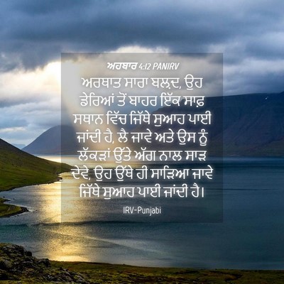 Picture 04 - ਅਹਬਾਰ 4:12 PANIRV - ਅਰਥਾਤ ਸਾਰਾ ਬਲ਼ਦ, ਉਹ - Bible Verse Picture