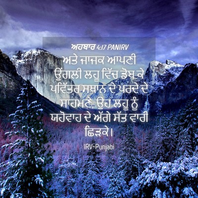 Picture 04 - ਅਹਬਾਰ 4:17 PANIRV - ਅਤੇ ਜਾਜਕ ਆਪਣੀ - Bible Verse Picture